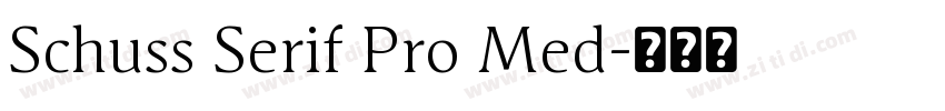 Schuss Serif Pro Med字体转换